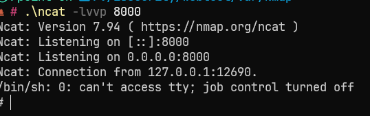 image-20240330195319832